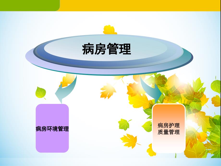 病房管理ppt课件.ppt_第3页