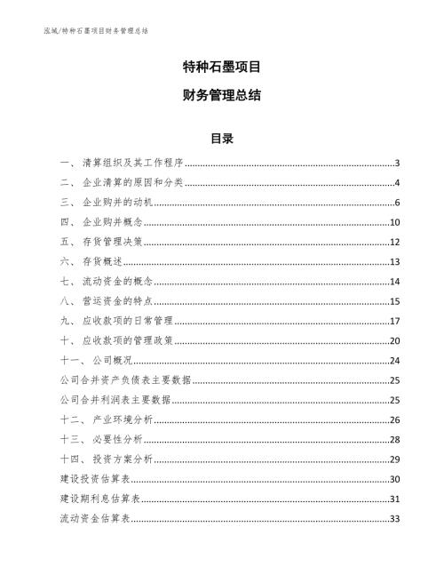 特种石墨项目财务管理总结参考.docx