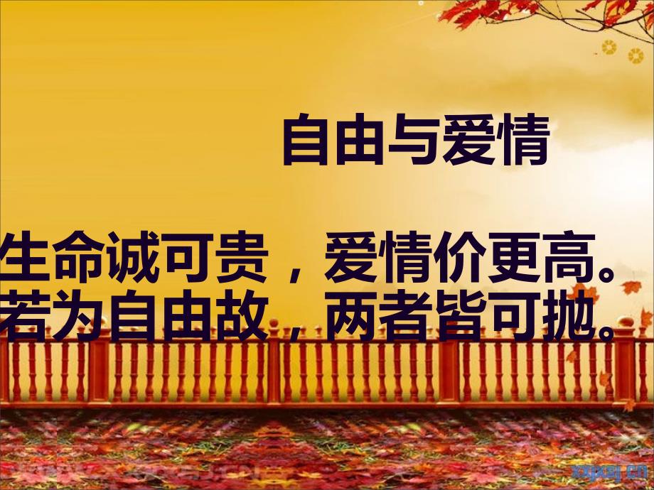 我愿意是急流课件.ppt_第2页