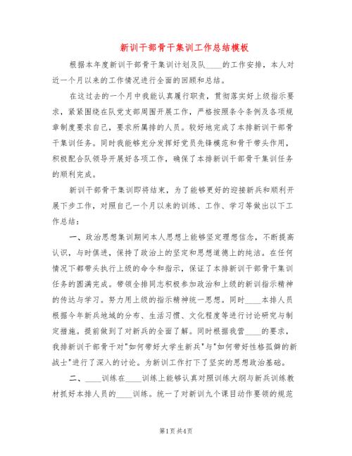 新训干部骨干集训工作总结模板2篇.doc