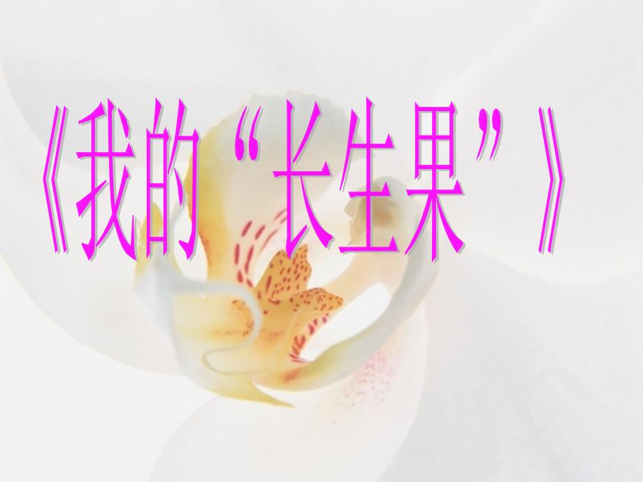 我的长生果PPT课件.ppt_第3页