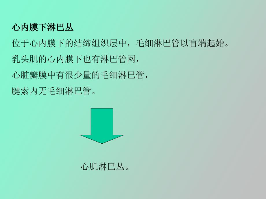 心脏淋巴心包.ppt_第2页