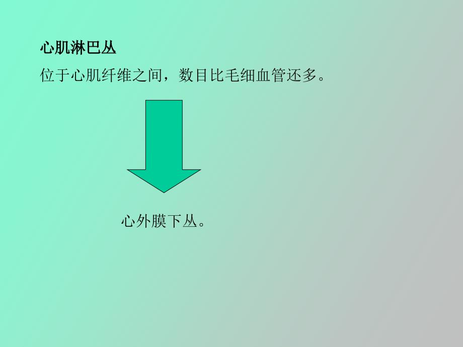 心脏淋巴心包.ppt_第3页