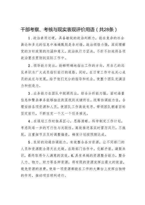 干部考察、考核与现实表现评价用语（共28条）.docx