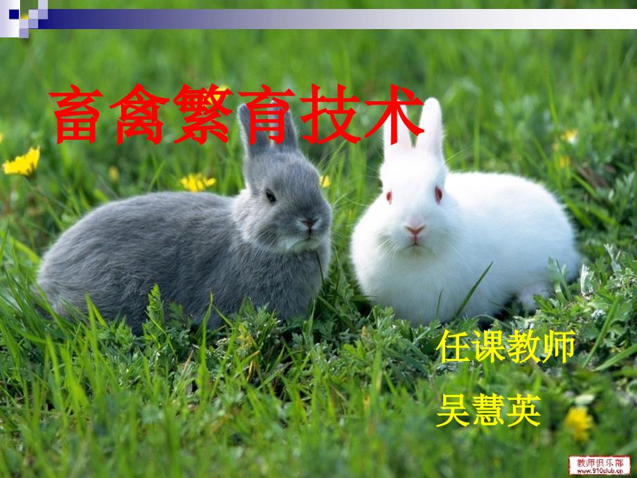 畜禽繁育技术PPT课件.ppt_第1页