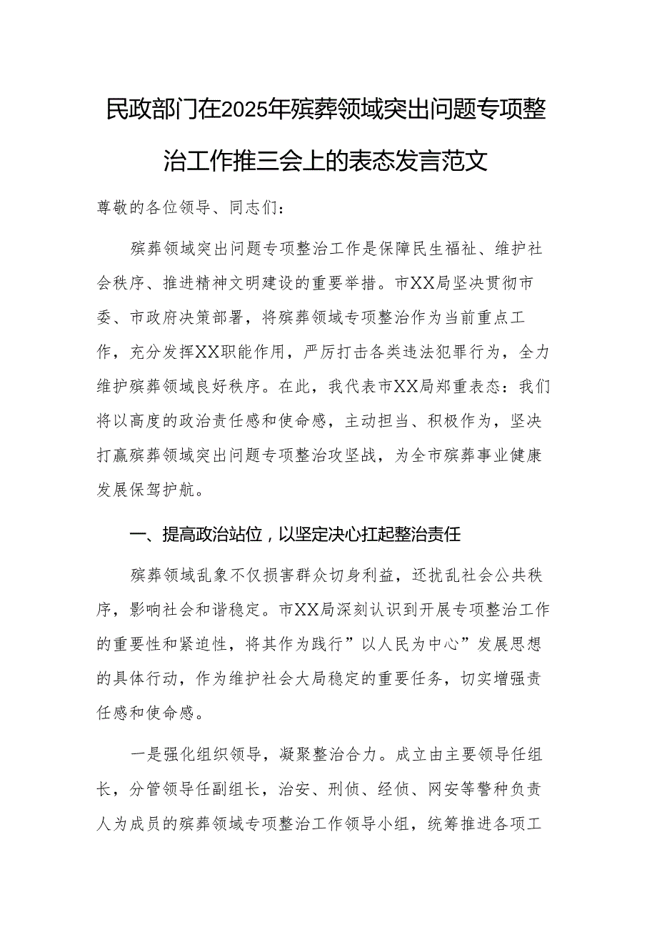 民政部门在2025年殡葬领域突出问题专项整治工作推进会上的表态发言范文.docx_第1页