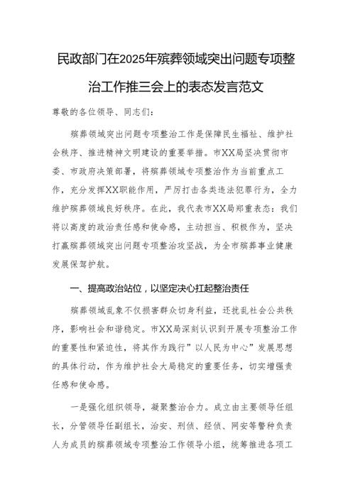 民政部门在2025年殡葬领域突出问题专项整治工作推进会上的表态发言范文.docx