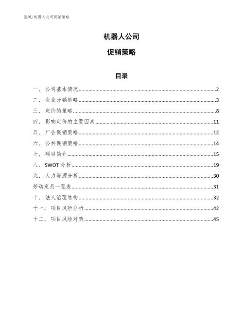 机器人公司促销策略参考.docx