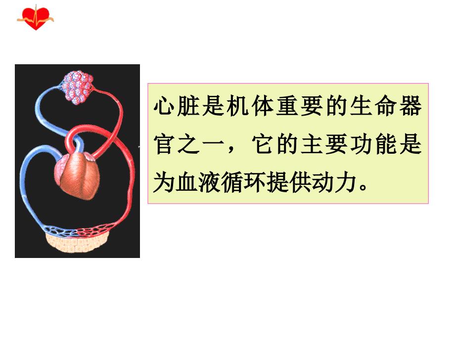 心力衰竭PPT课件.pptx_第1页