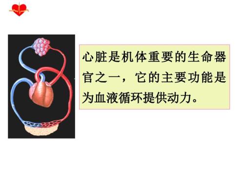 心力衰竭PPT课件.pptx