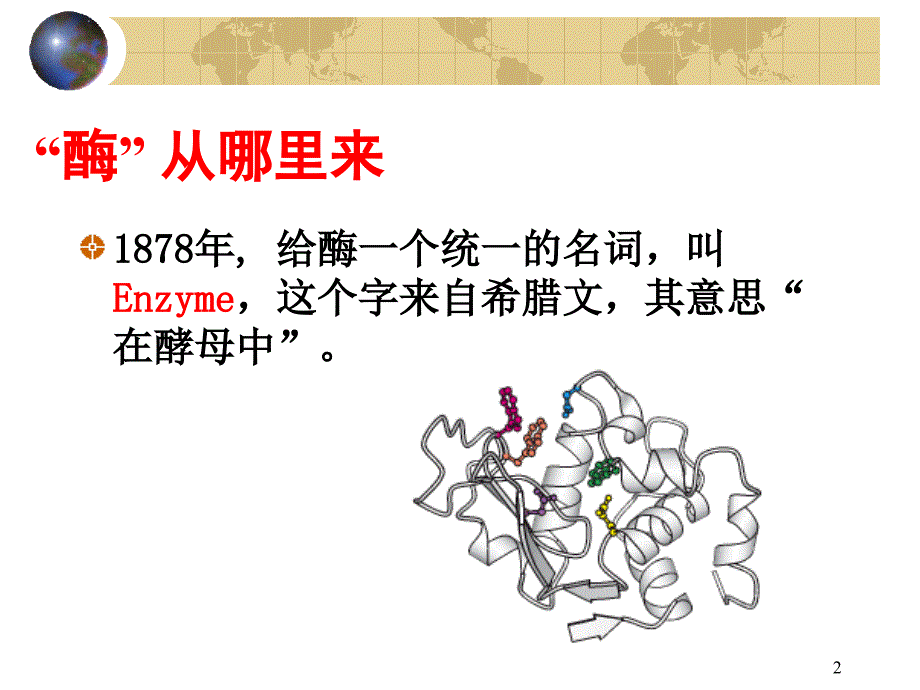淀粉酶与脂肪酶ppt课件.ppt_第2页