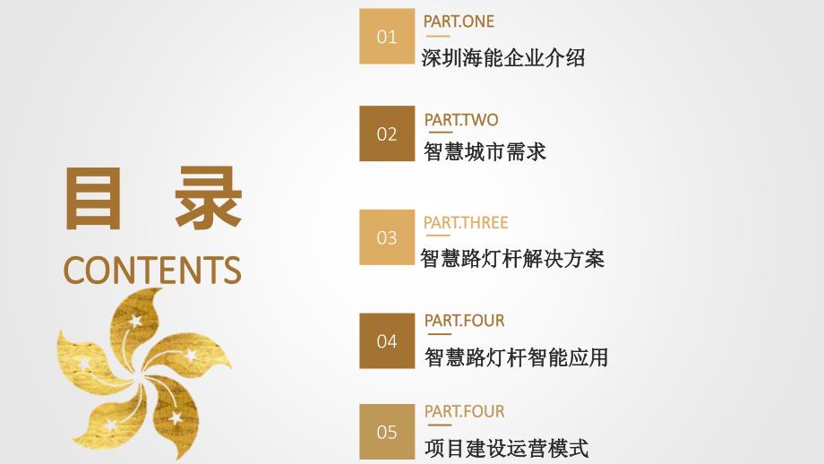 智慧路灯杆系统解决方案介绍.ppt_第2页