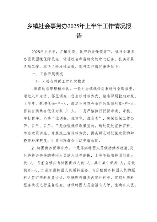 乡镇社会事务办2025年上半年工作情况报告.docx