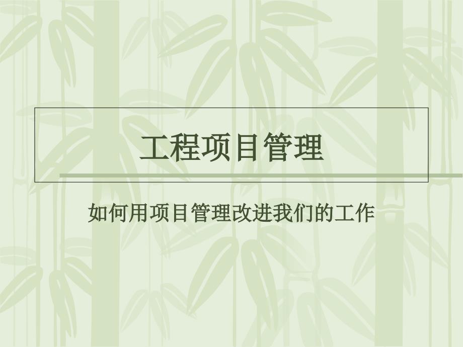 工程项目管理第二版.ppt_第1页