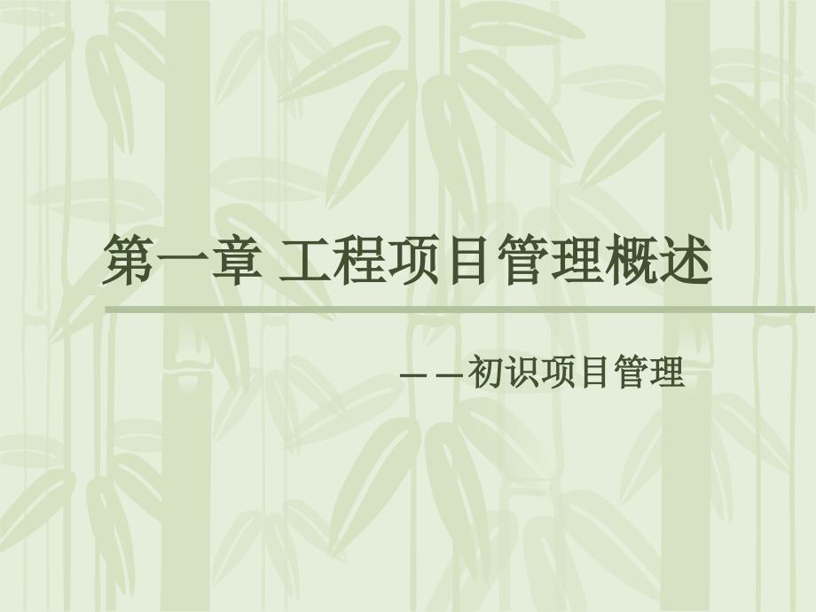 工程项目管理第二版.ppt_第2页