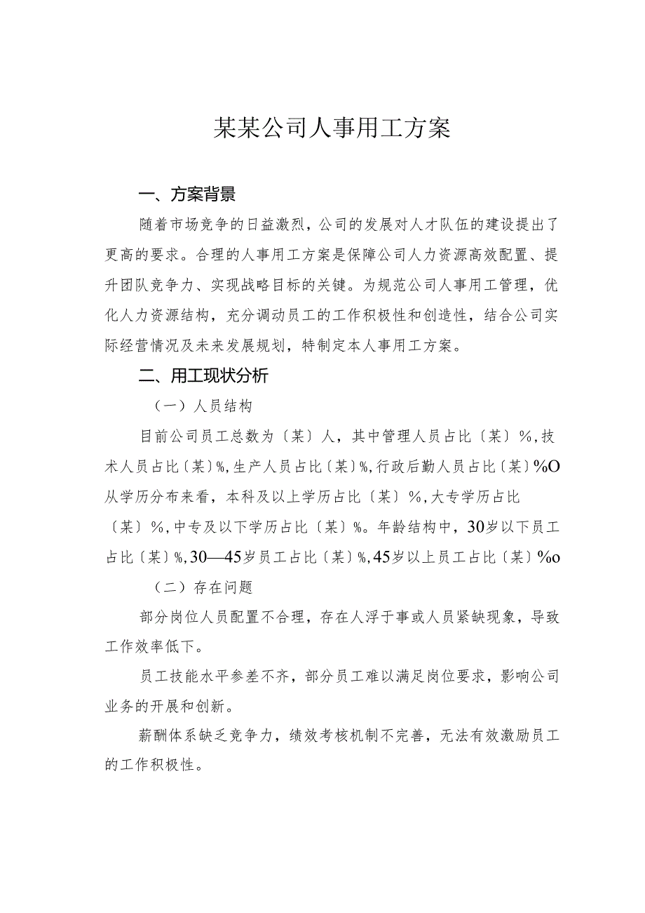 某某公司人事用工方案.docx_第1页