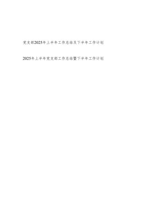 基层党支部2025年上半年工作总结及下半年工作计划2篇.docx