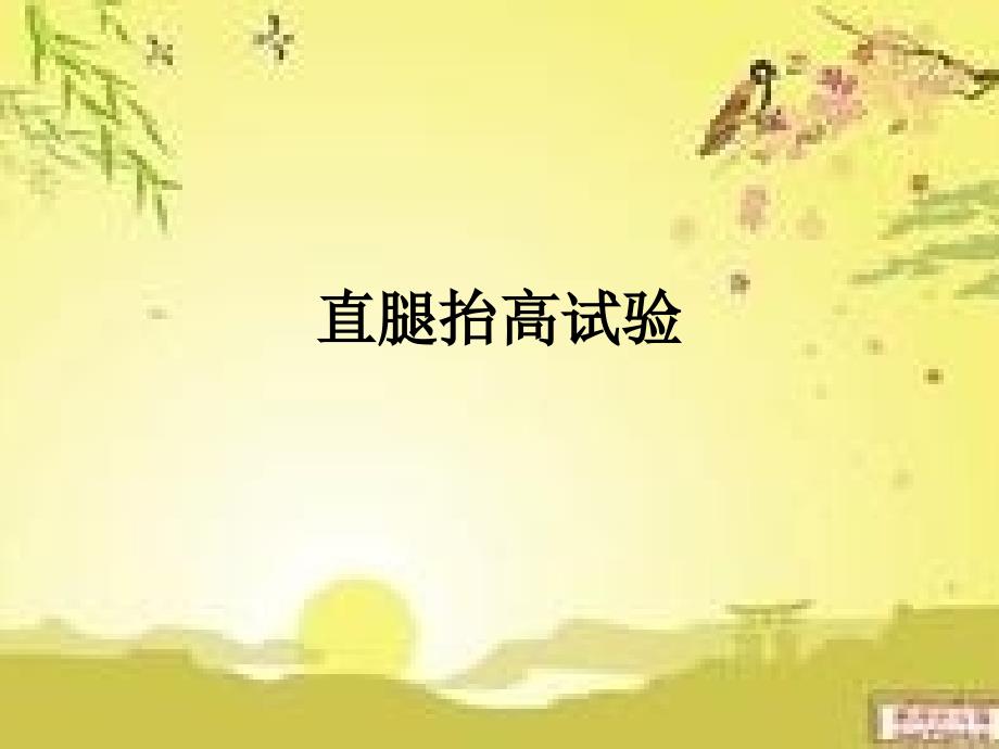 直腿抬高试验PPT课件.ppt_第1页