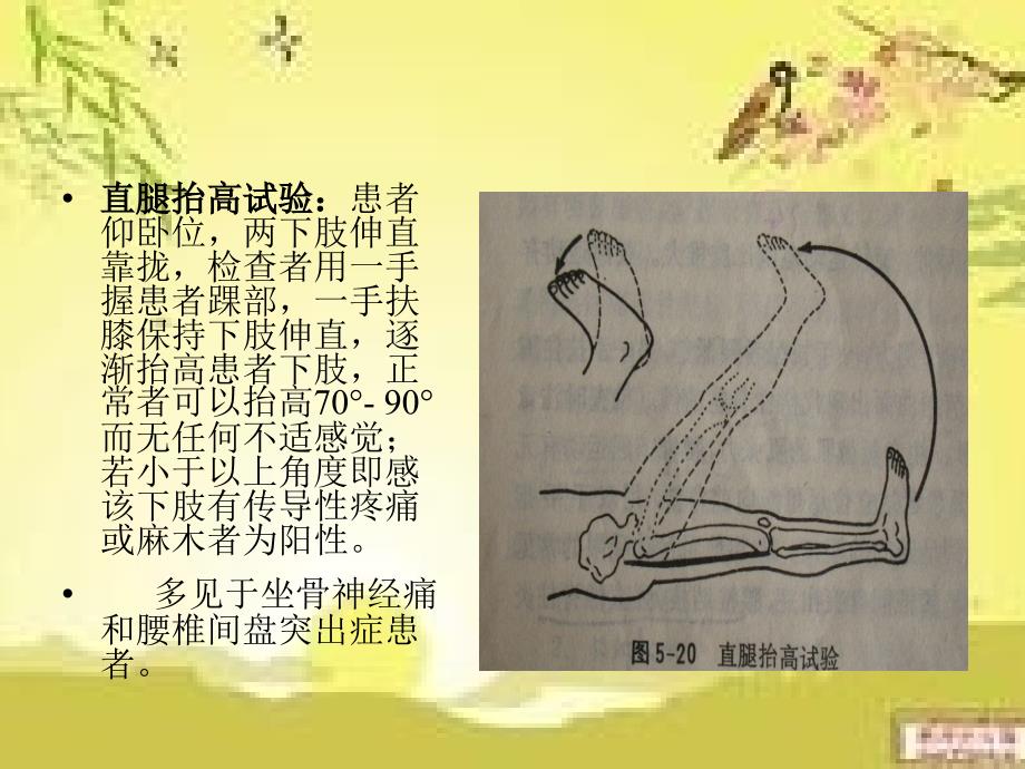 直腿抬高试验PPT课件.ppt_第2页
