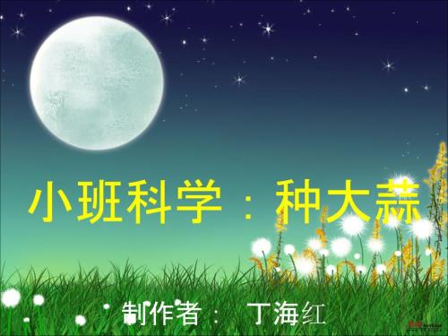 小班科学种大蒜.ppt