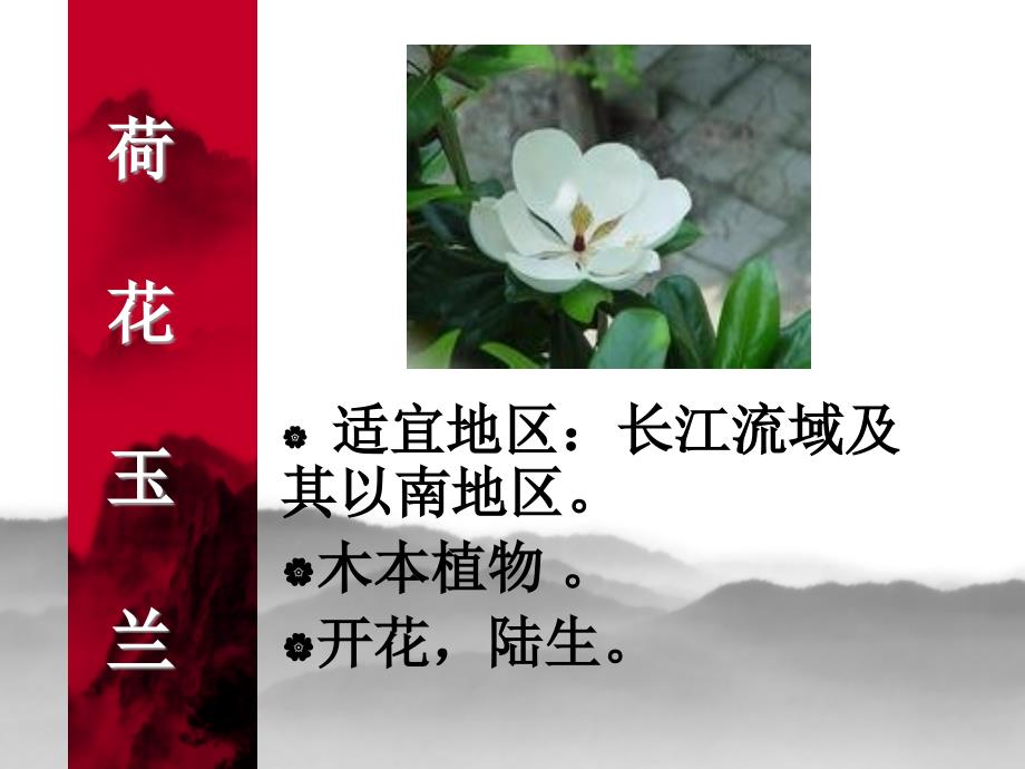 教科版科学六年级上册多种多样的植物.ppt_第2页
