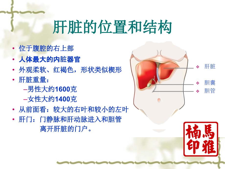 常见肝病用药指导PPT课件.ppt_第3页