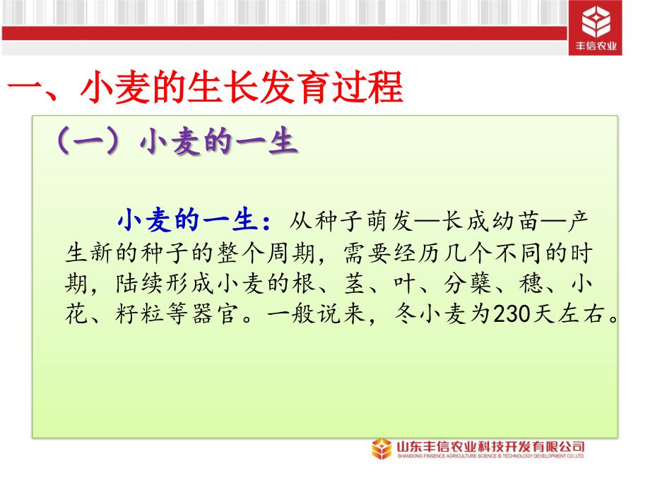 小麦栽培种植管理PPT课件.pptx_第2页