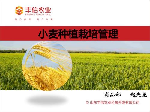 小麦栽培种植管理PPT课件.pptx