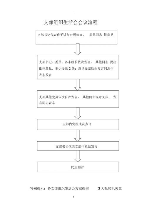支部组织生活会会议流程.docx