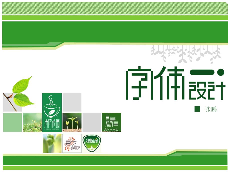 拉丁字母书写方式.ppt_第1页