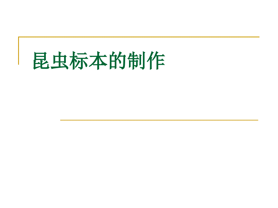 昆虫标本的制作课件.ppt_第2页
