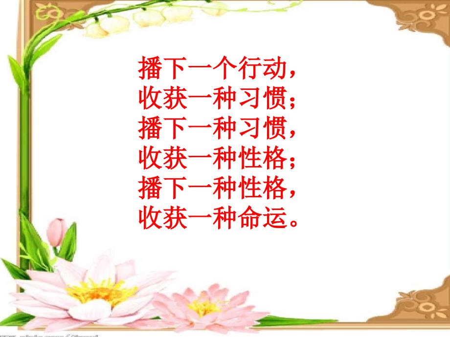 小学养成教育主题班会小学生良好学习习惯的养成精品课件.ppt_第2页