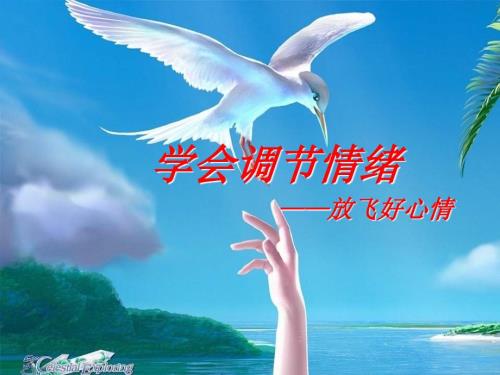 心理健康课情绪管理课件.ppt