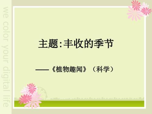 植物趣闻大班科学.ppt