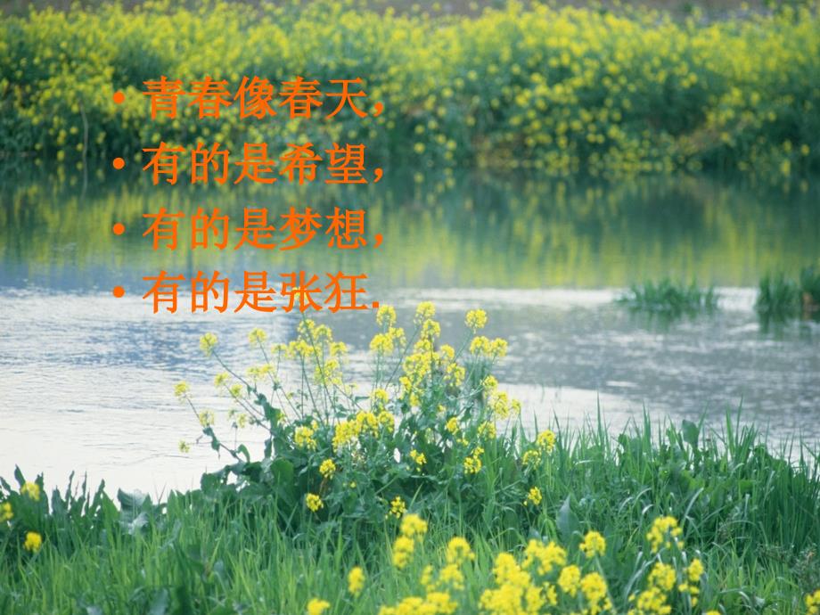 成长的烦恼PPT课件.ppt_第2页