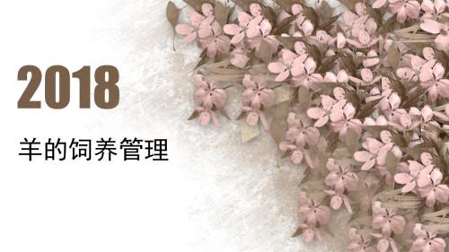 山羊的饲养管理PPT课件.pptx