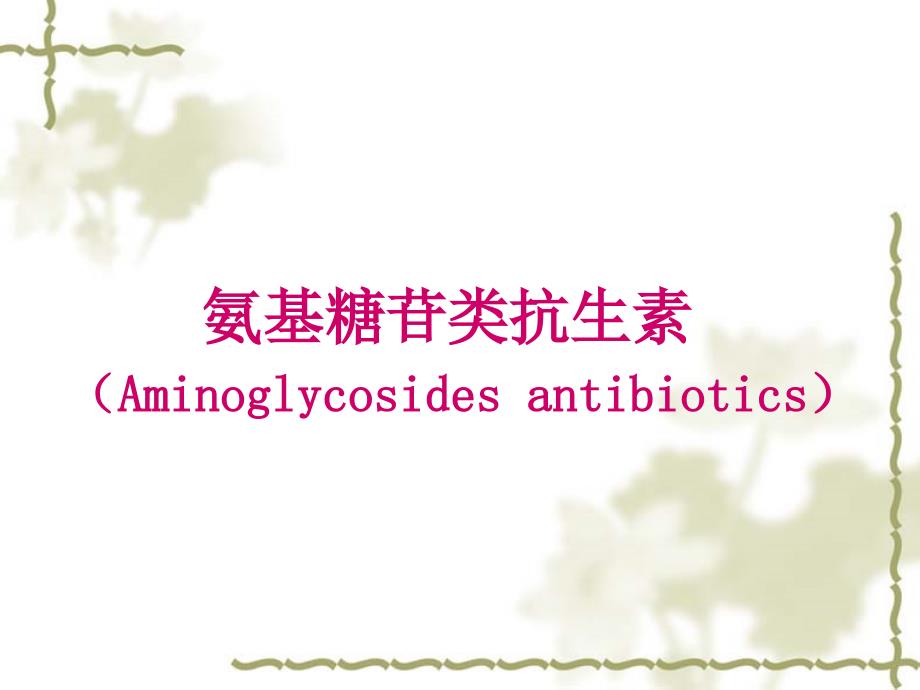 氨基糖苷类抗生素PPT课件.ppt_第1页