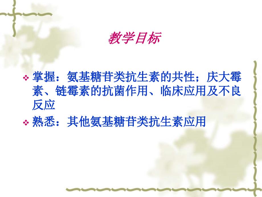 氨基糖苷类抗生素PPT课件.ppt_第2页