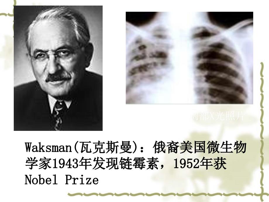氨基糖苷类抗生素PPT课件.ppt_第3页