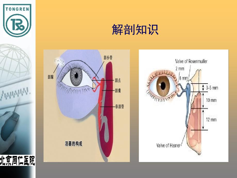 泪道探通PPT参考课件.ppt_第2页