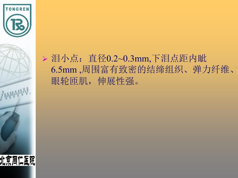 泪道探通PPT参考课件.ppt_第3页