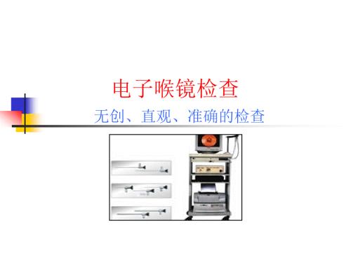 电子喉镜检查PPT课件.ppt