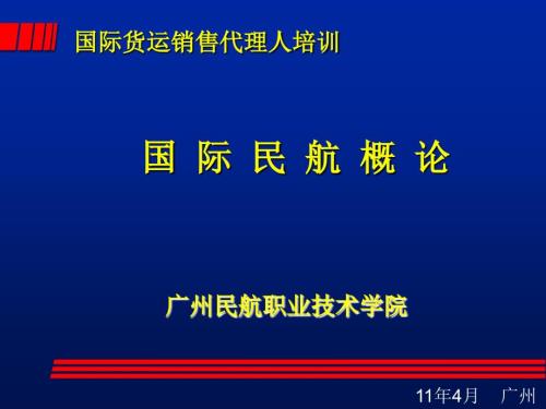 民航运输概论国际.ppt