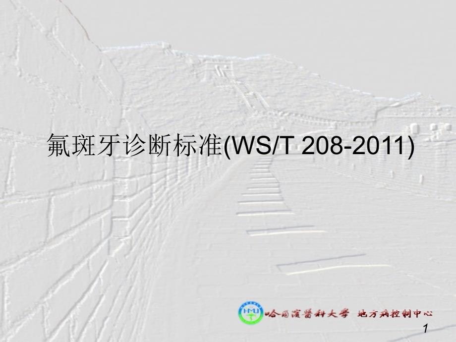 氟斑牙诊断标准ppt课件.ppt_第1页