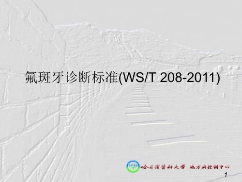 氟斑牙诊断标准ppt课件.ppt