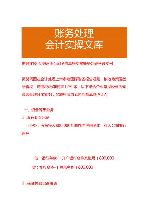 做账实操瓦努阿图公司全盘账务处理分录实例.docx