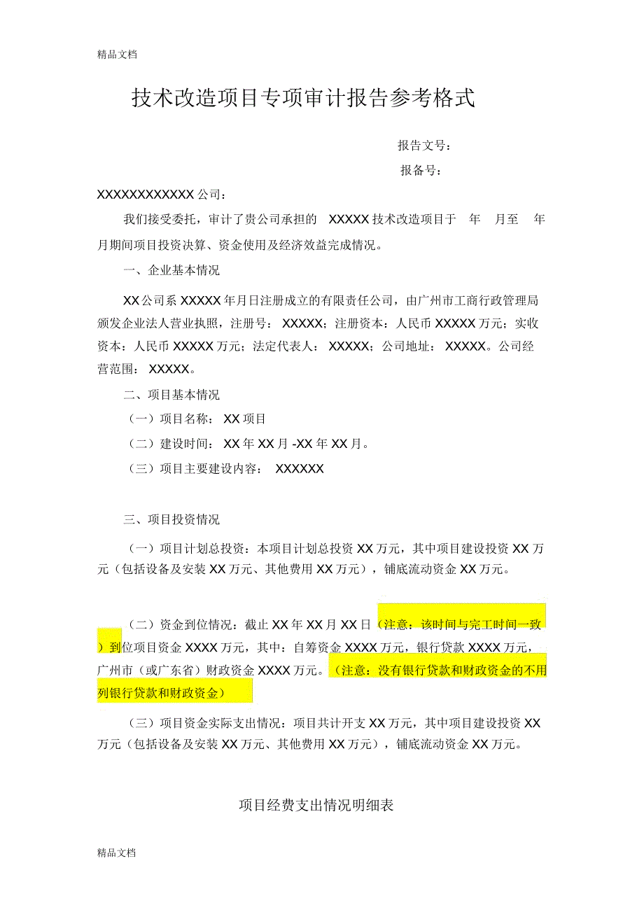 技术改造项目专项审计报告参考格式汇编.doc_第1页