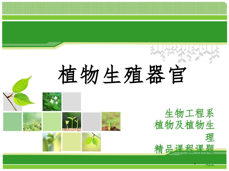 植物生殖器官花果实PPT演示课件.ppt_第1页