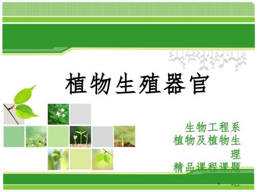 植物生殖器官花果实PPT演示课件.ppt