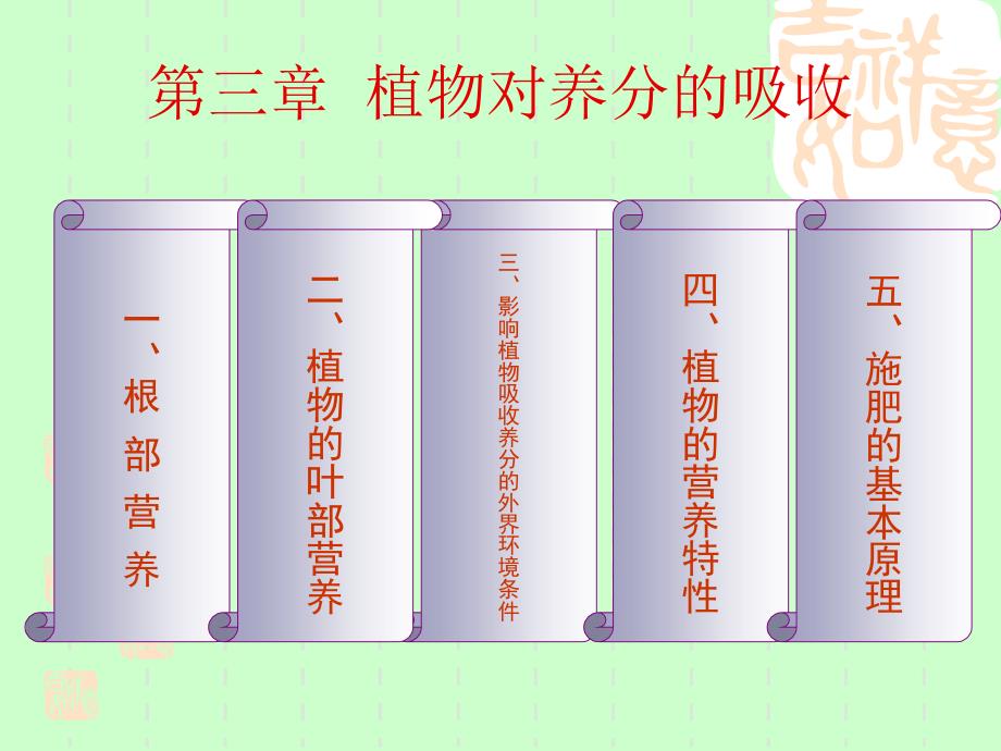 根系养分吸收PPT课件.ppt_第1页